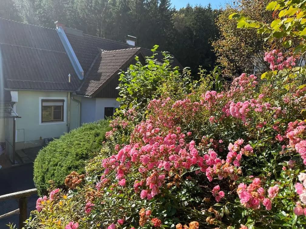 2-Zimmer-Haus mieten in Deutschlandsberg – 63 m², € 753 – Bild 1 von 39