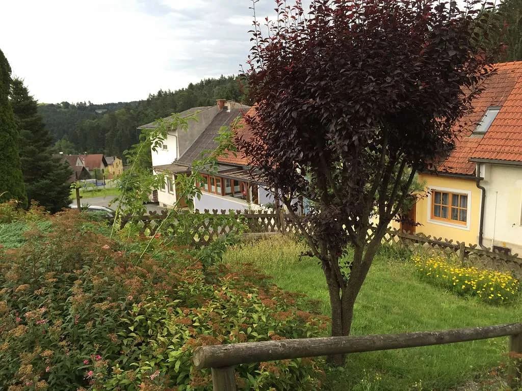 2-Zimmer-Haus mieten in Deutschlandsberg – 63 m², € 753 – Bild 2 von 39