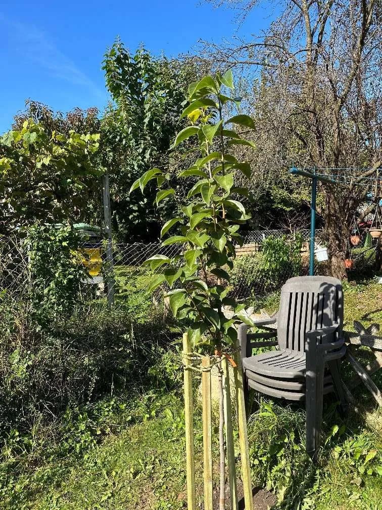 2-Zimmer-Haus mieten in Deutschlandsberg – 63 m², € 753 – Bild 13 von 39