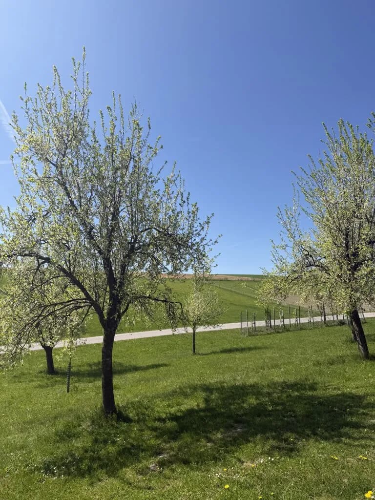 Gewerbeimmobilie kaufen in Ried im Innkreis – 500 m², € 1.250.000 – Bild 6 von 28
