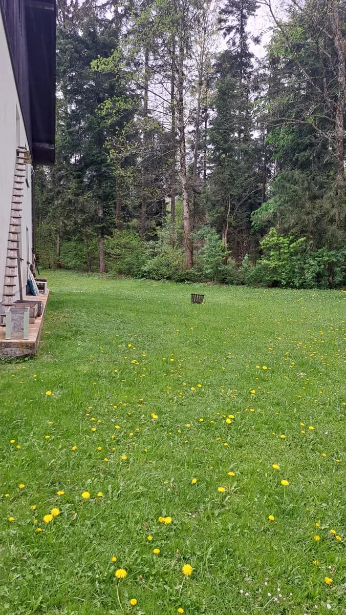 2-Zimmer-Wohnung mieten in Gmunden – 66 m², € 820 – Bild 4 von 15