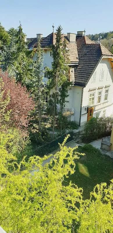 1-Zimmer-Wohnung mieten in Wien – 25 m², € 640 – Bild 3 von 7