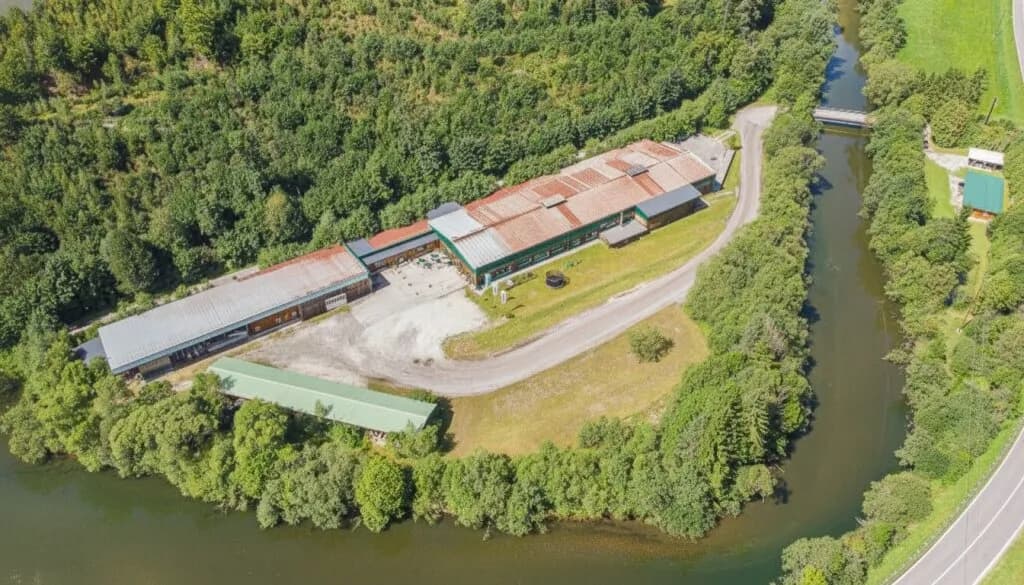 Immobilie kaufen in Bruck-Mürzzuschlag – 12 157 m² – Bild 6 von 41