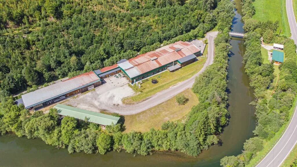 Immobilie kaufen in Bruck-Mürzzuschlag – 12 157 m² – Bild 38 von 41
