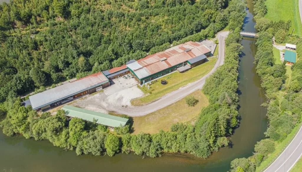 Gewerbeimmobilie mieten in Bruck-Mürzzuschlag – 12 157 m² – Bild 13 von 32