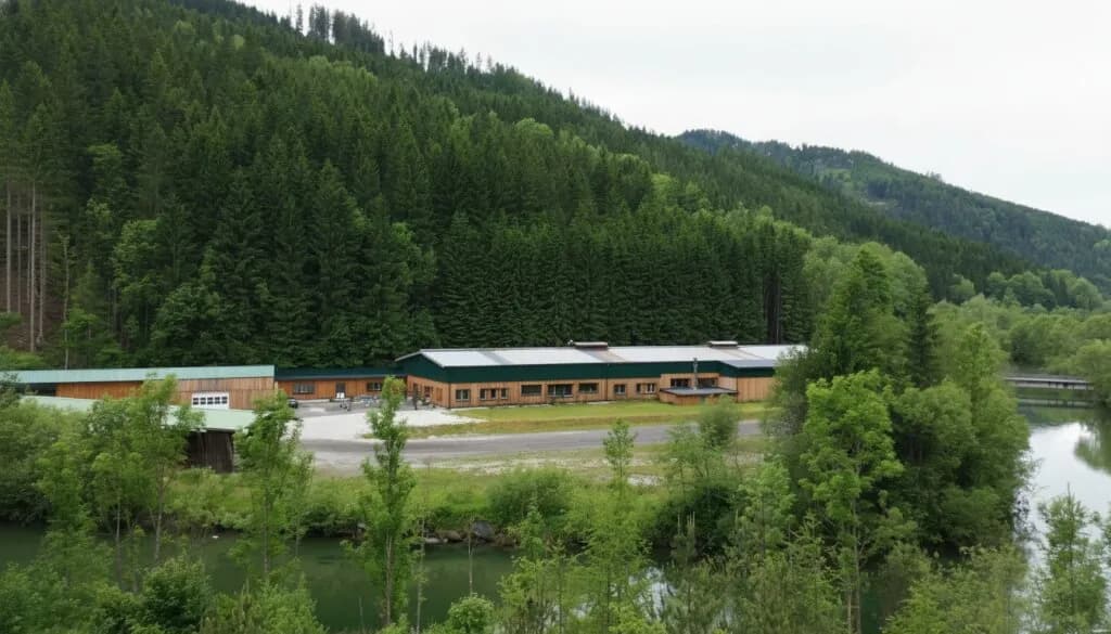 Gewerbeimmobilie mieten in Bruck-Mürzzuschlag – 12 157 m² – Bild 14 von 32
