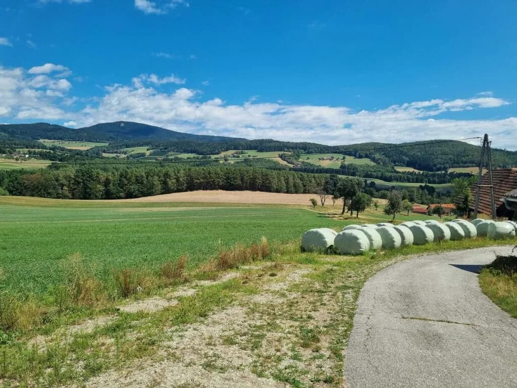 Grundstück kaufen in Hartberg-Fürstenfeld – 309 467 m², € 1.290.000 – Bild 17 von 28