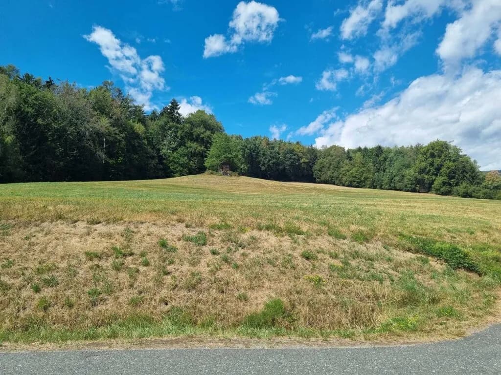 Grundstück kaufen in Hartberg-Fürstenfeld – 309 467 m², € 1.290.000 – Bild 21 von 28