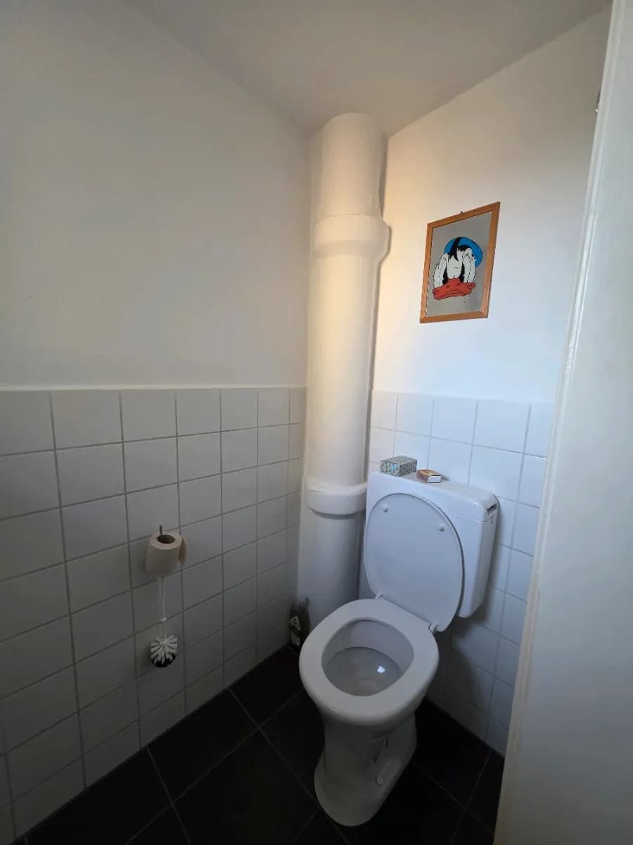 1-Zimmer-Wohnung mieten in Graz – 45 m², € 622 – Bild 3 von 16