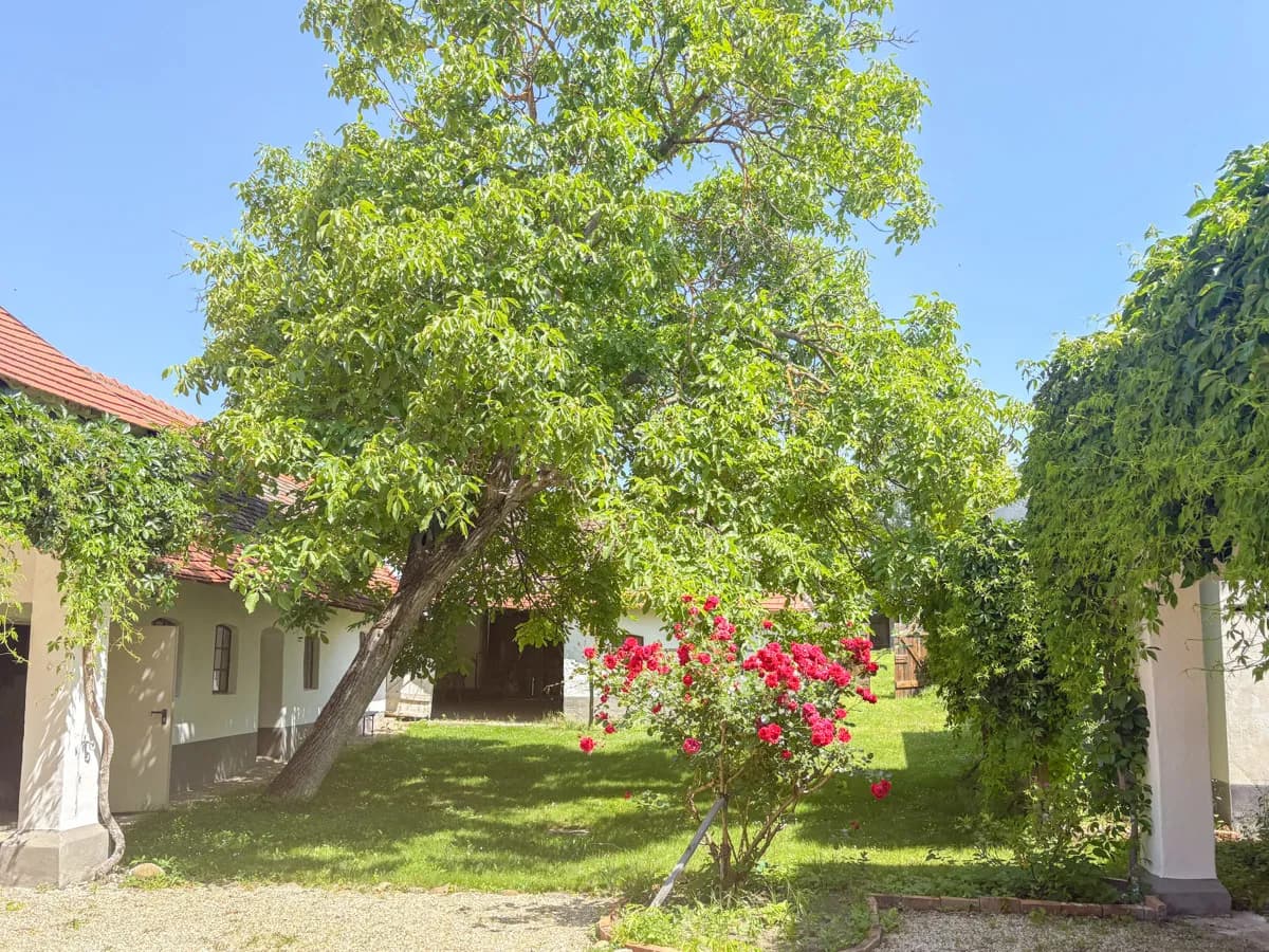 6-Zimmer-Haus kaufen in Hollabrunn – 180 m², € 499.000
