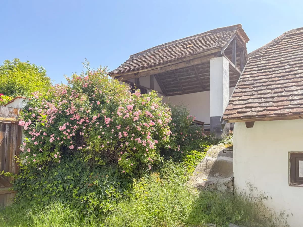 6-Zimmer-Haus kaufen in Hollabrunn – 180 m², € 499.000 – Bild 4 von 25