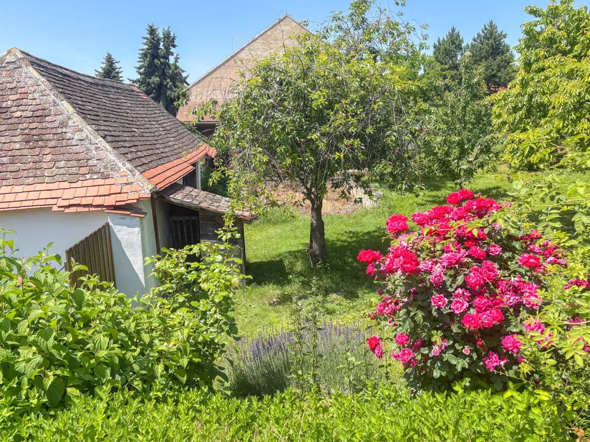 6-Zimmer-Haus kaufen in Hollabrunn – 180 m², € 499.000 – Bild 8 von 25