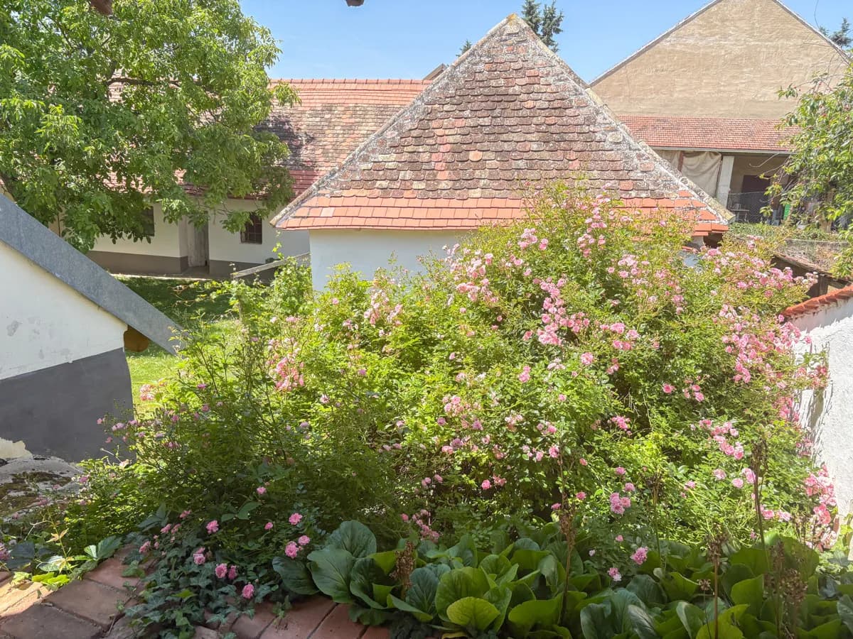 6-Zimmer-Haus kaufen in Hollabrunn – 180 m², € 499.000 – Bild 21 von 25