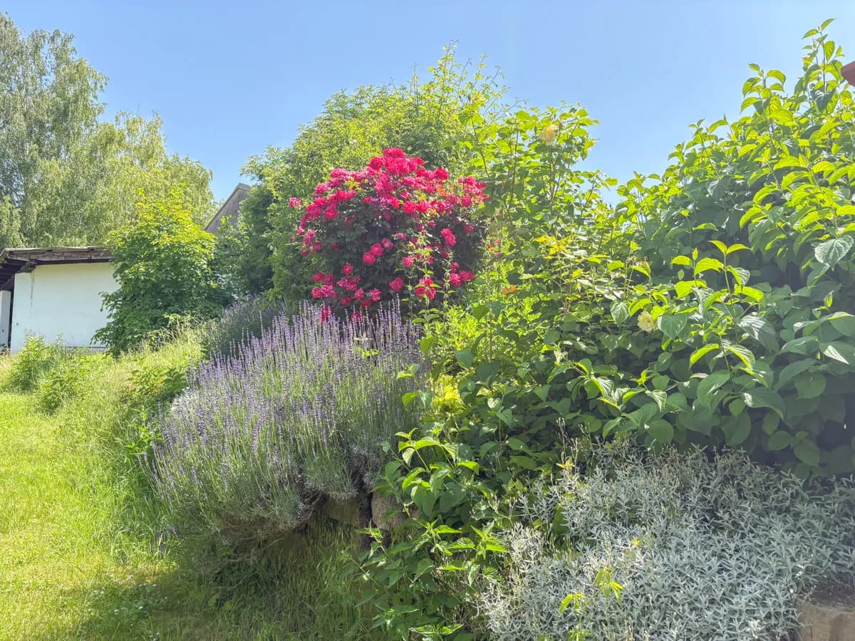 6-Zimmer-Haus kaufen in Hollabrunn – 180 m², € 499.000 – Bild 22 von 25