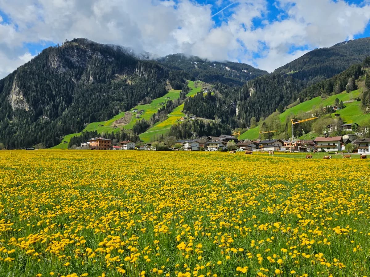 Grundstück kaufen in Schwaz – 392 m², € 156.408 – Bild 11 von 17
