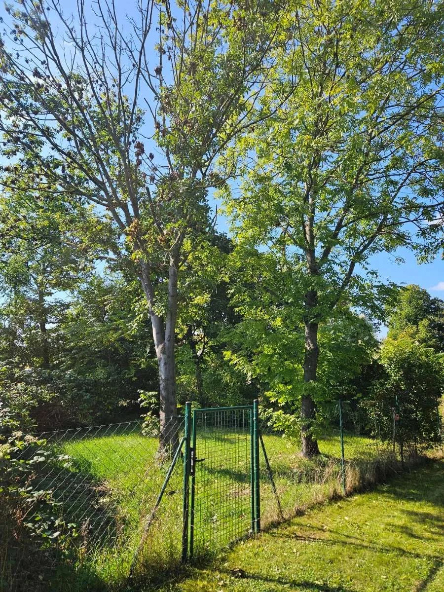 Grundstück mieten in Wien – 230 m², € 230 – Bild 2 von 4