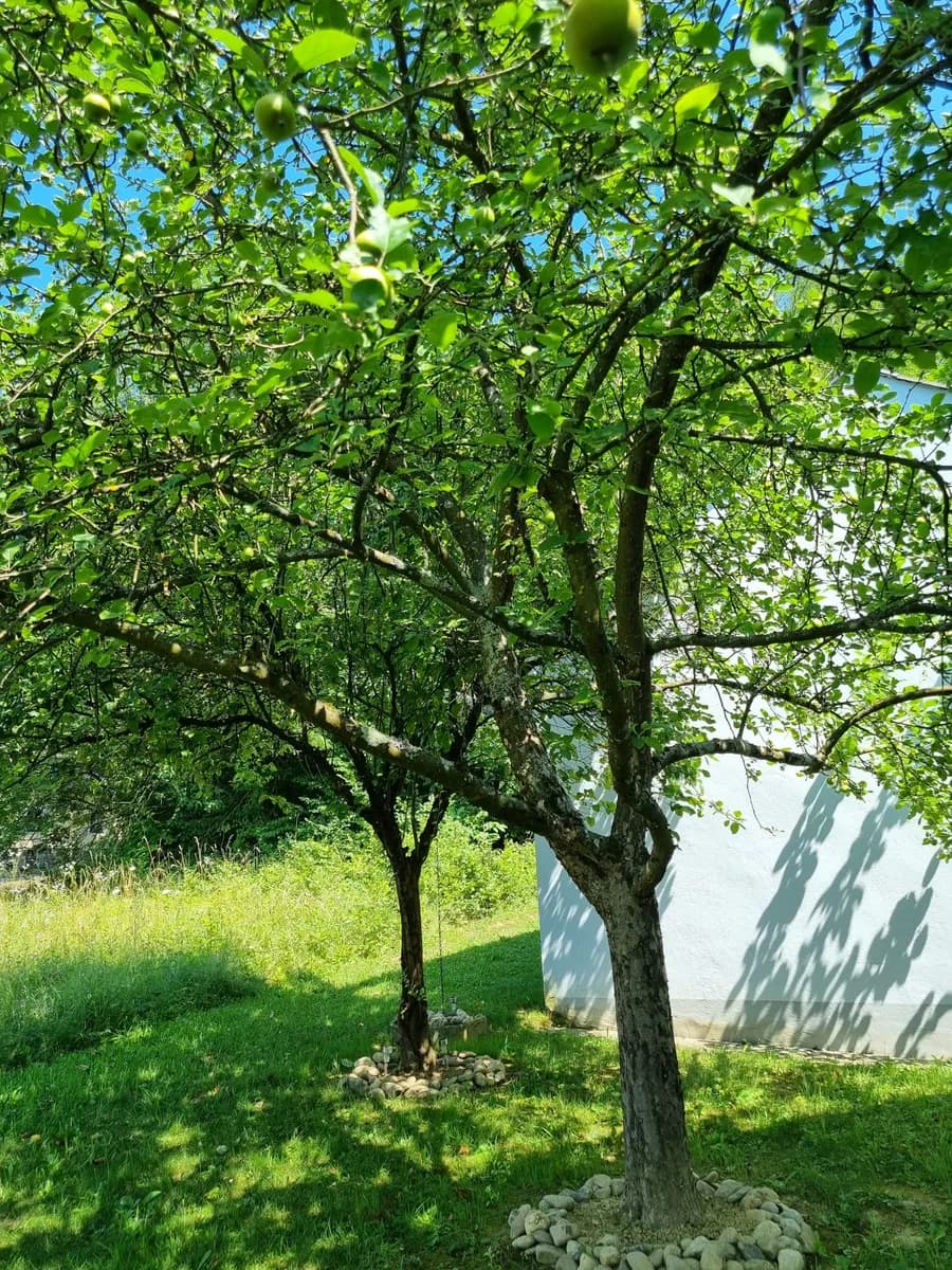 Haus mieten in Südoststeiermark – 70 m², € 600 – Bild 2 von 21