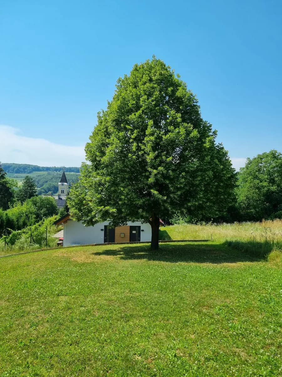Haus mieten in Südoststeiermark – 70 m², € 600 – Bild 3 von 21