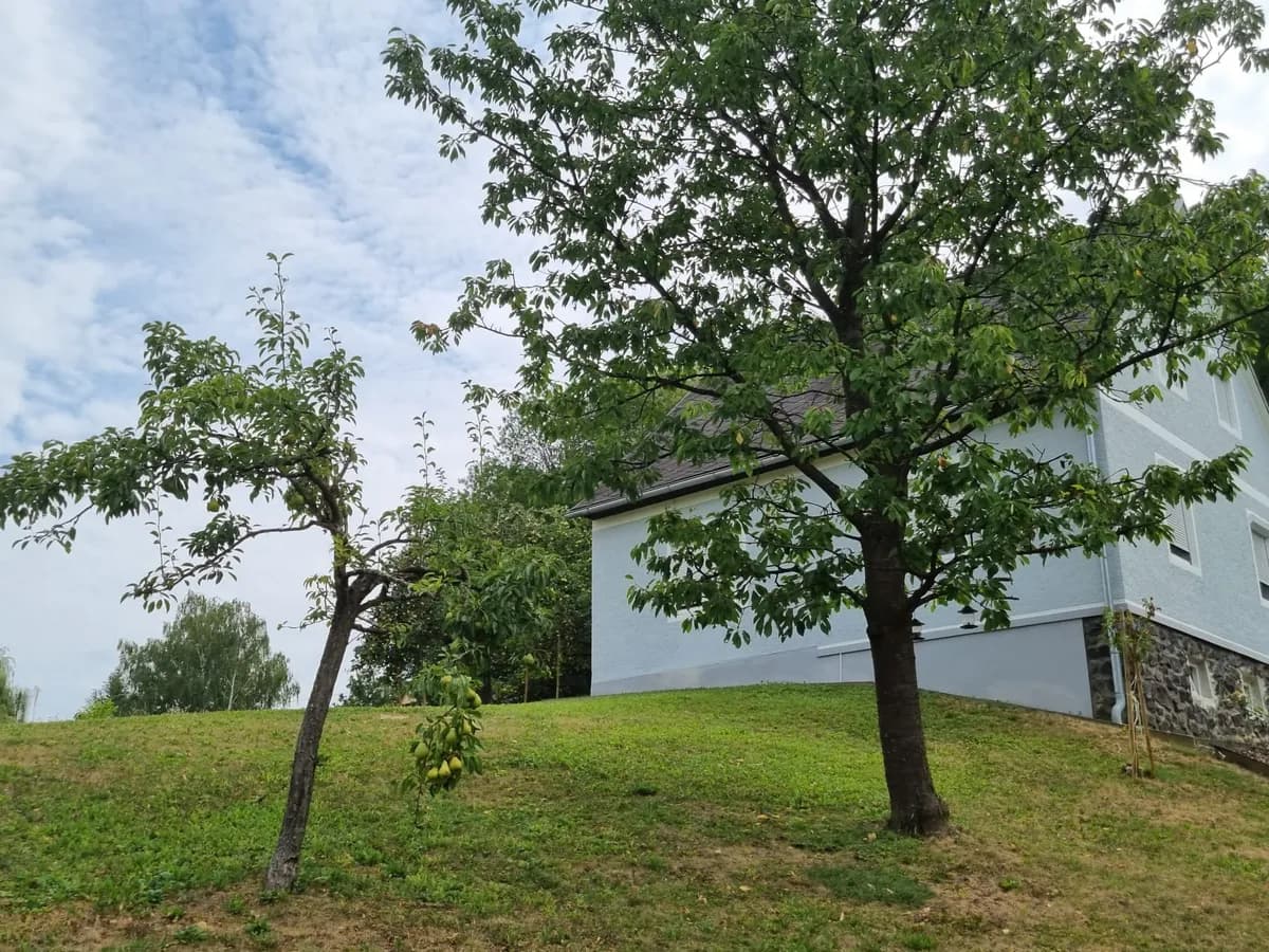 Haus mieten in Südoststeiermark – 70 m², € 600 – Bild 19 von 21