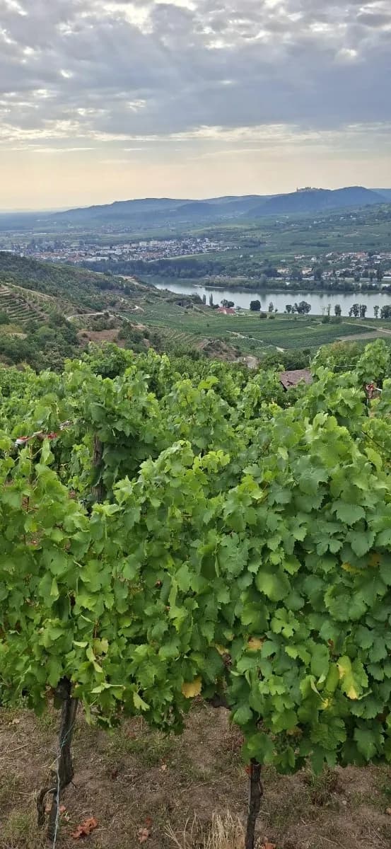 Grundstück kaufen in Krems Land – 2 300 m², € 57.500 – Bild 2 von 7