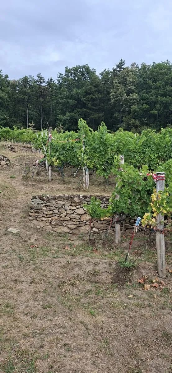 Grundstück kaufen in Krems Land – 2 300 m², € 57.500 – Bild 5 von 7