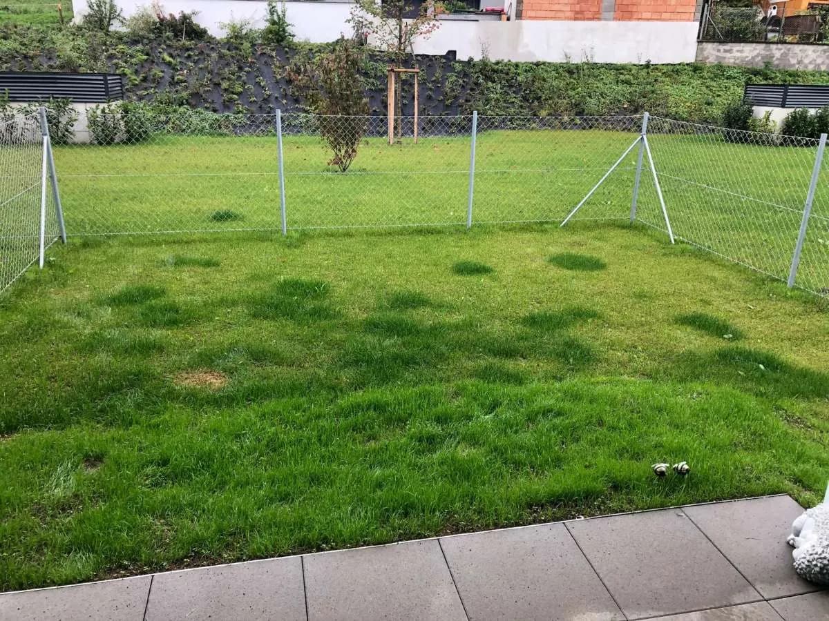Wohnung kaufen in Wels-Land – 90 m², € 394.000 – Bild 8 von 14