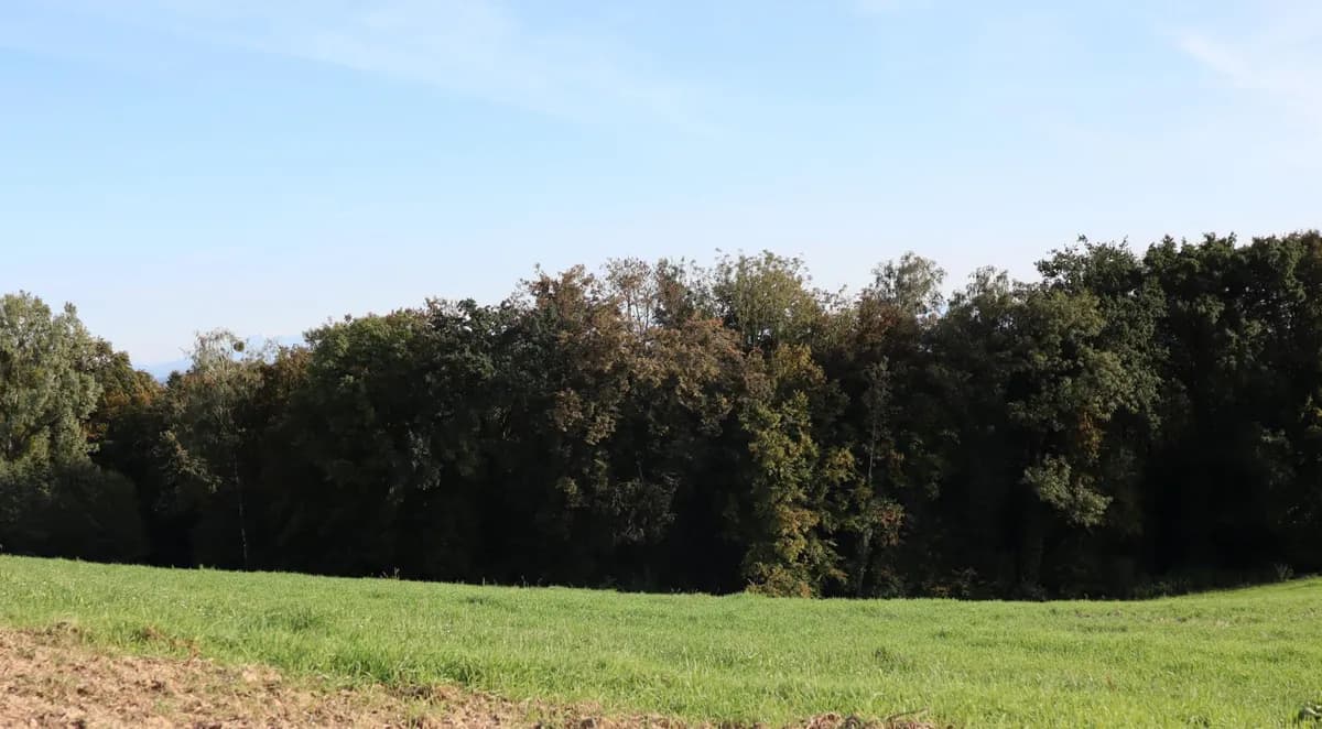 Grundstück kaufen in Perg – 46 500 m², € 279.000