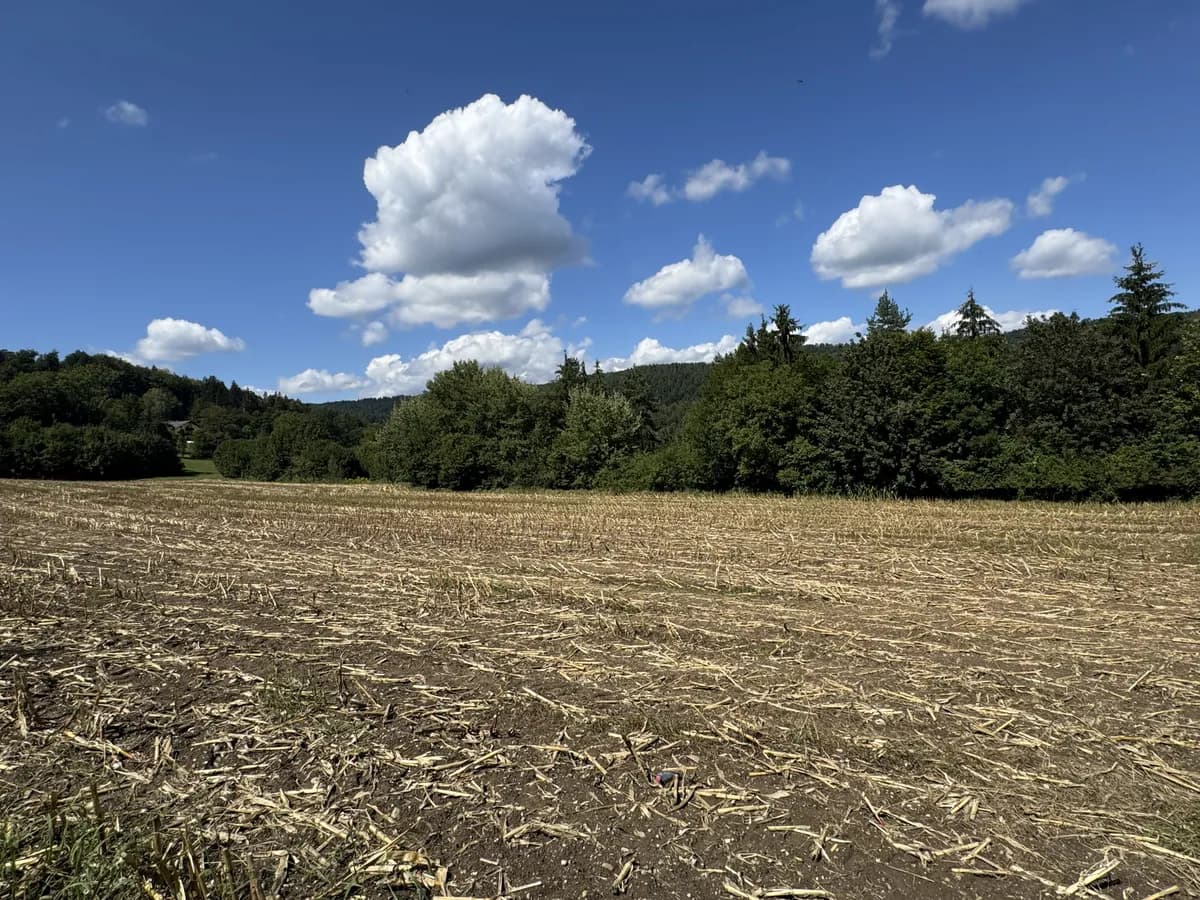 Grundstück kaufen in Villach Land – 22 121 m² – Bild 4 von 4