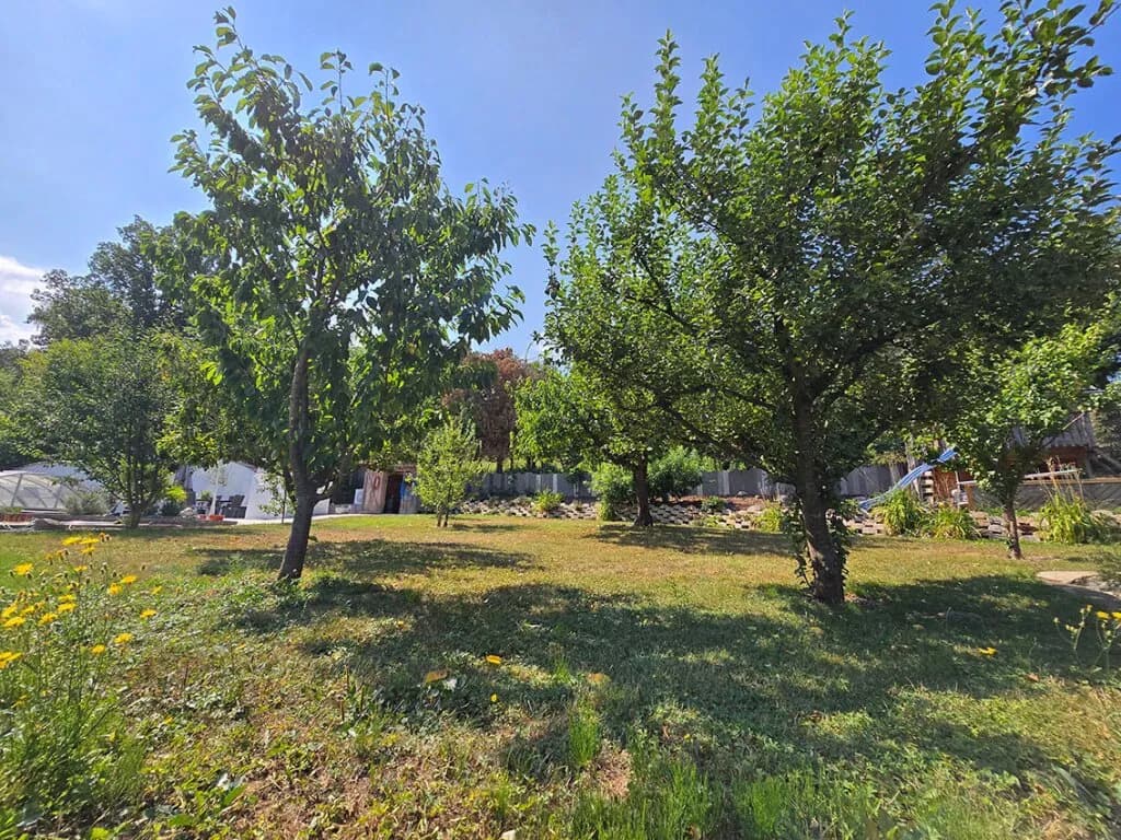 Haus kaufen in Sankt Pölten Land – 4 623 m², € 1.250.000 – Bild 11 von 15