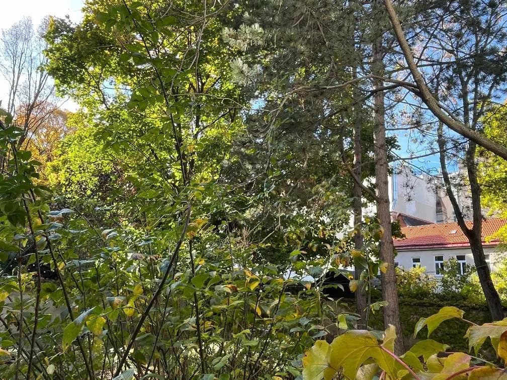 1-Zimmer-Gewerbeimmobilie mieten in Wien – 35 m², € 320 – Bild 16 von 17