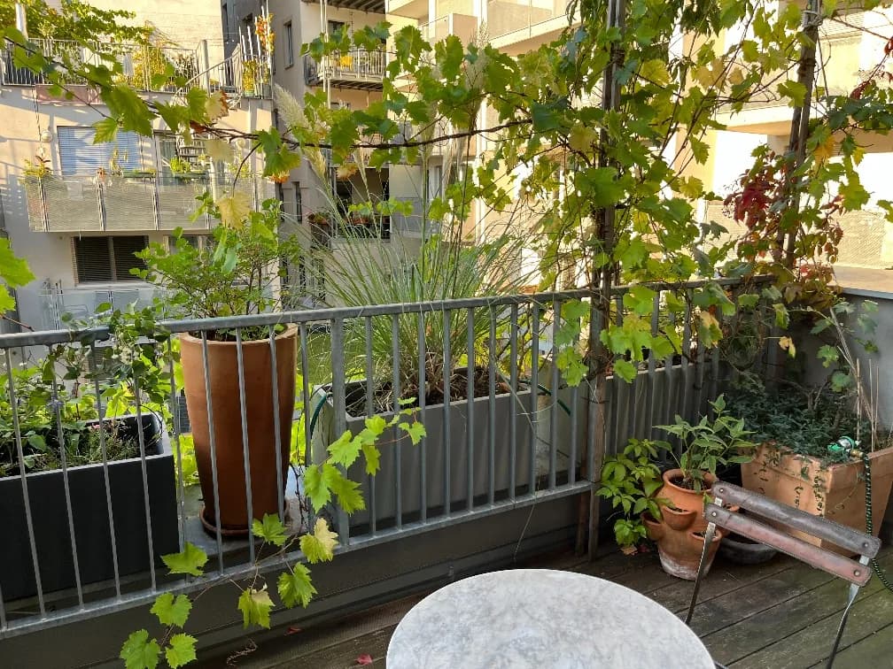 2-Zimmer-Wohnung mieten in Wien – 66 m², € 1.498 – Bild 30 von 49