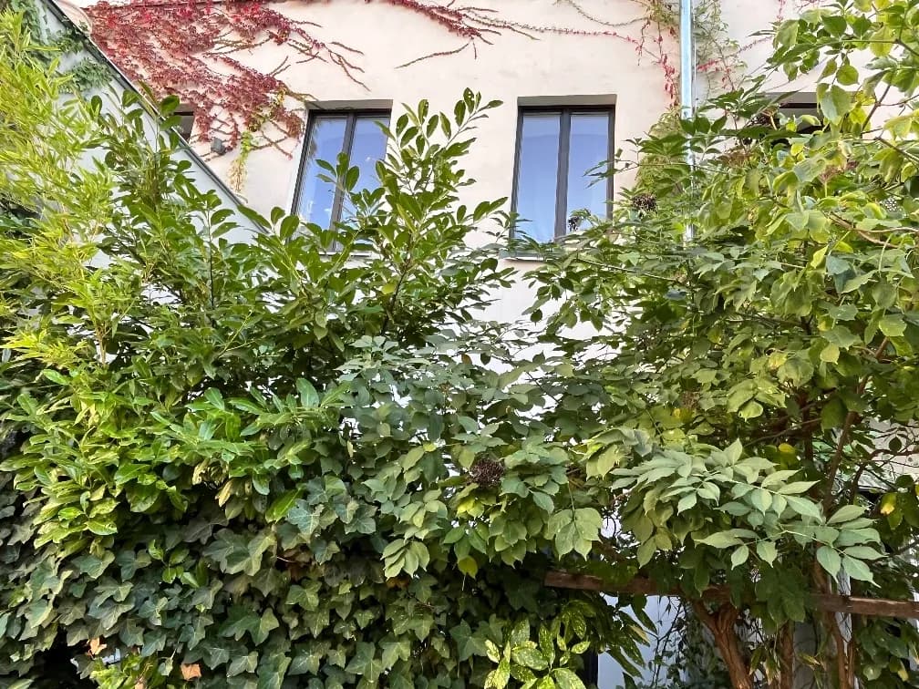 2-Zimmer-Wohnung mieten in Wien – 66 m², € 1.498 – Bild 49 von 49