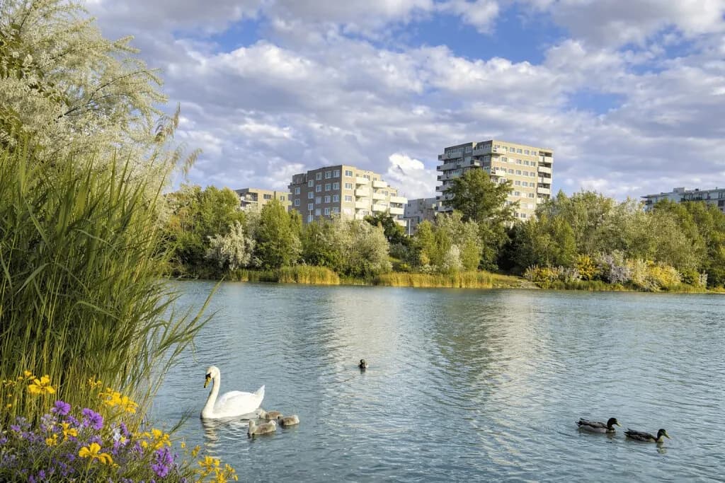 1-Zimmer-Gewerbeimmobilie mieten in Wien – 297 m², € 4.758 – Bild 17 von 21