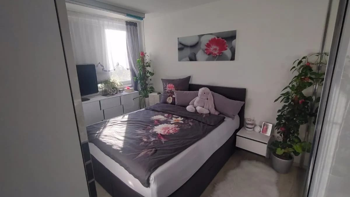 2-Zimmer-Wohnung mieten in Bruck-Mürzzuschlag – 55 m², € 410 – Bild 24 von 30