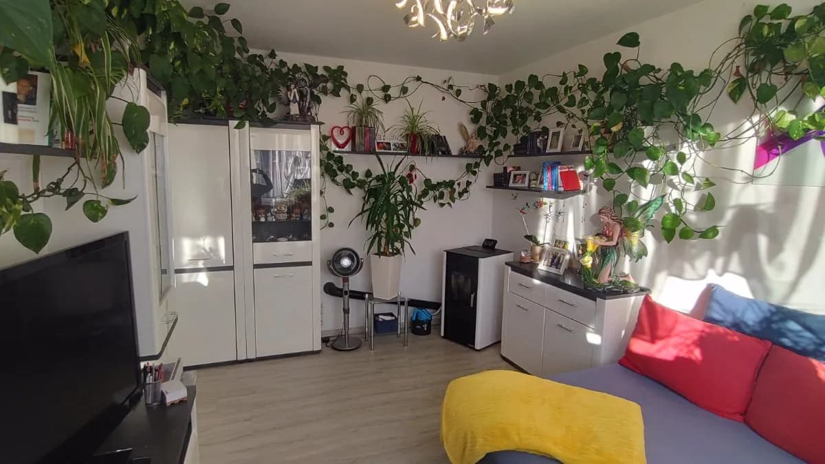 2-Zimmer-Wohnung mieten in Bruck-Mürzzuschlag – 55 m², € 410 – Bild 26 von 30