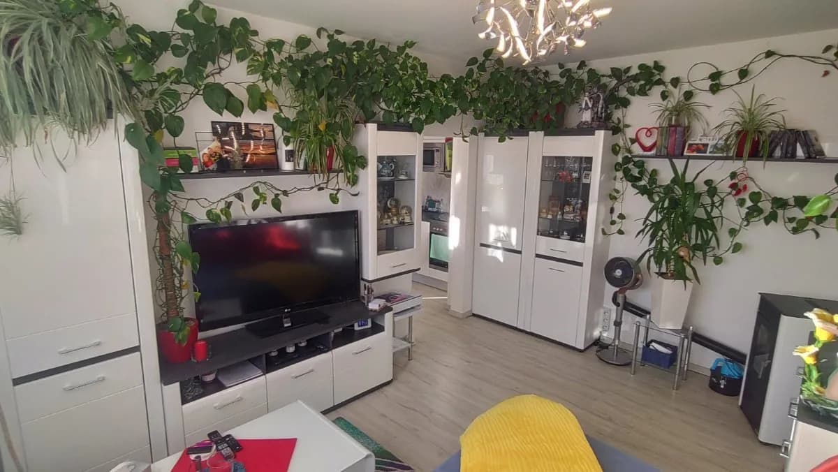 2-Zimmer-Wohnung mieten in Bruck-Mürzzuschlag – 55 m², € 410 – Bild 27 von 30