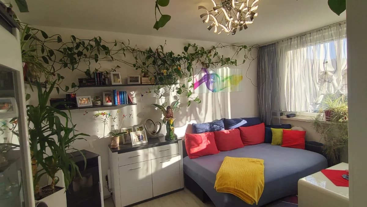2-Zimmer-Wohnung mieten in Bruck-Mürzzuschlag – 55 m², € 410 – Bild 28 von 30