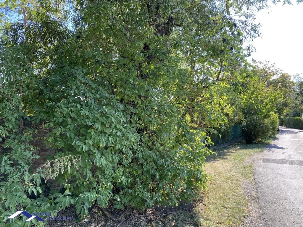 5-Zimmer-Haus kaufen in Mödling – 157 m², € 699.000 – Bild 8 von 11