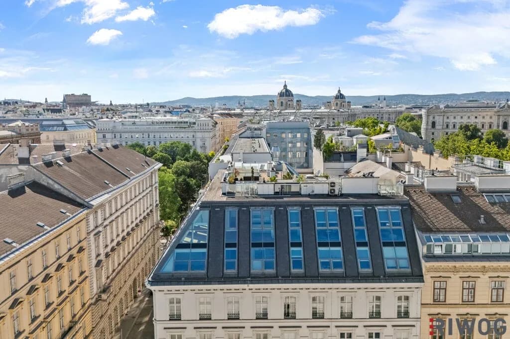 6-Zimmer-Wohnung kaufen in Wien – 223,11 m², € 4.450.000 – Bild 2 von 19