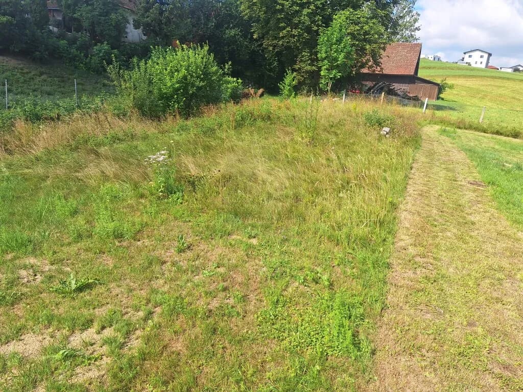 Immobilie kaufen in Schärding – 200 m², € 530.000 – Bild 4 von 27