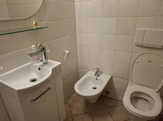 1-Zimmer-Wohnung mieten in Krems an der Donau – 28 m², € 650 – Bild 9 von 10