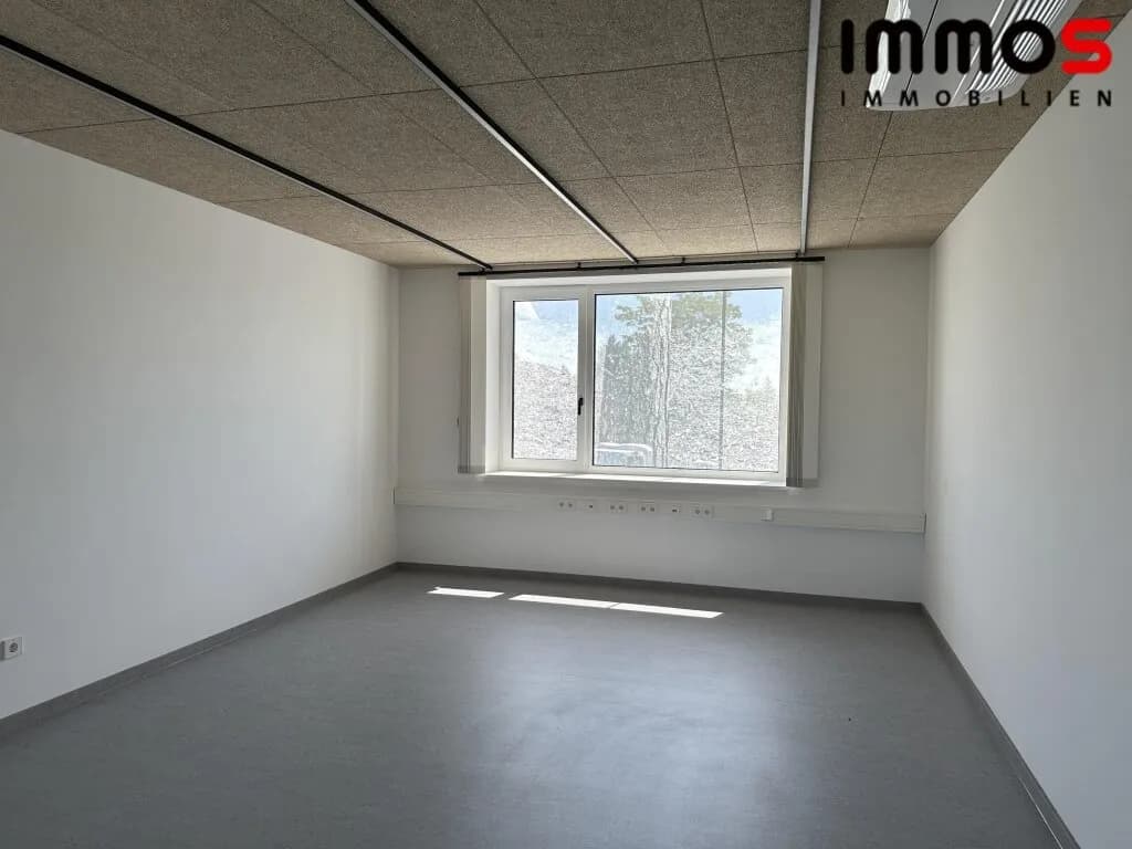 6-Zimmer-Gewerbeimmobilie mieten in Urfahr-Umgebung – 148 m², € 1.799 – Bild 8 von 15