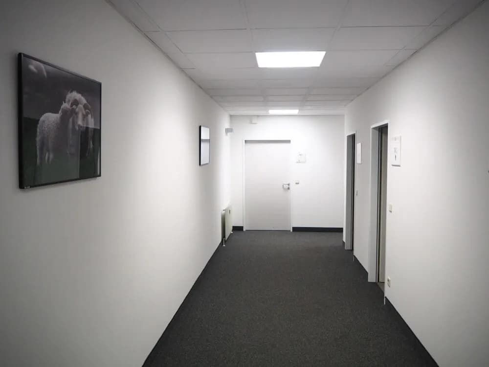 Gewerbeimmobilie mieten in Wien – 300 m² – Bild 3 von 9