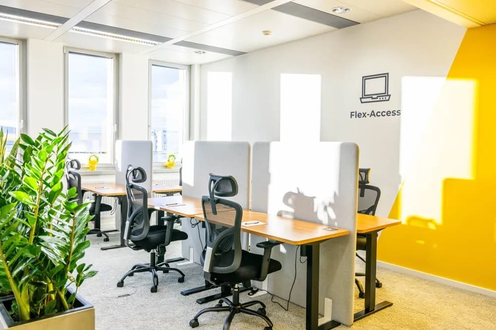 Gewerbeimmobilie mieten in Wien – 600 m² – Bild 2 von 9
