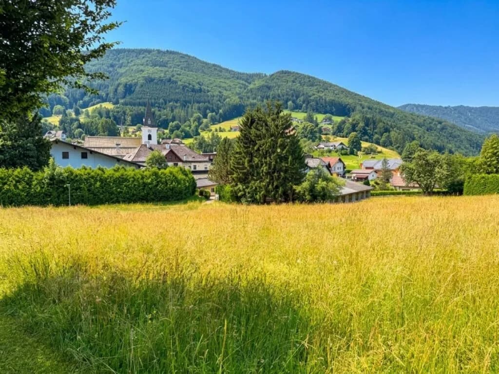 Grundstück kaufen in Gmunden – 3 187 m² – Bild 3 von 3
