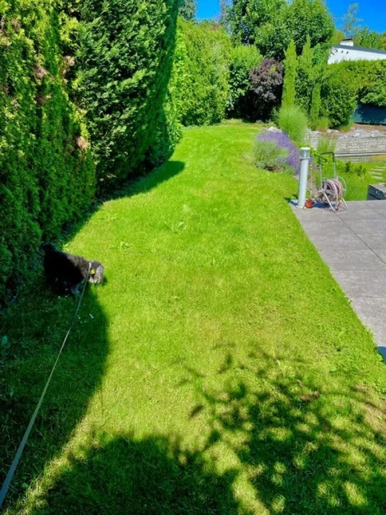 6-Zimmer-Haus kaufen in Mödling – 315 m², € 1.400.000 – Bild 6 von 65
