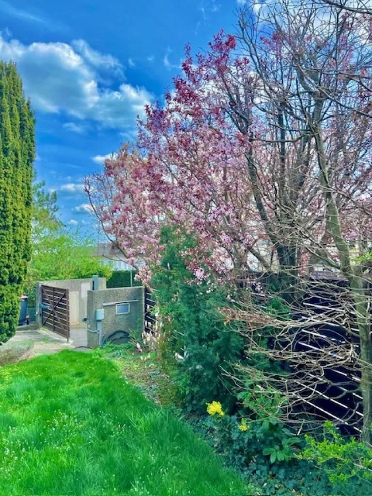 6-Zimmer-Haus kaufen in Mödling – 315 m², € 1.400.000 – Bild 51 von 65