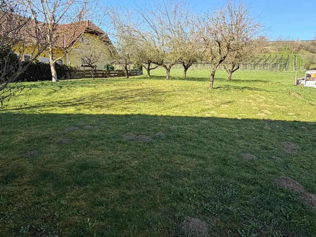 7-Zimmer-Haus kaufen in Südoststeiermark – 170 m², € 298.000 – Bild 9 von 21