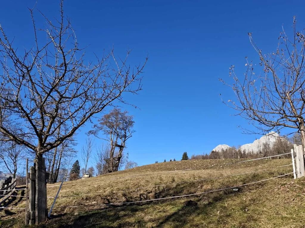 Grundstück kaufen in Zell am See – 425 m², € 598.000 – Bild 5 von 10