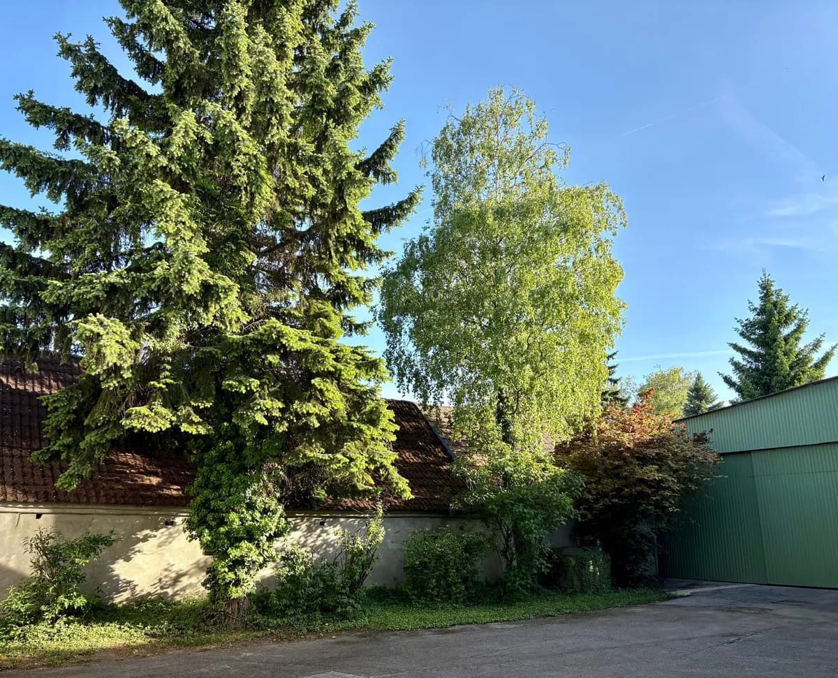 12-Zimmer-Gewerbeimmobilie mieten in Mistelbach – 300 m², € 1.350 – Bild 2 von 10